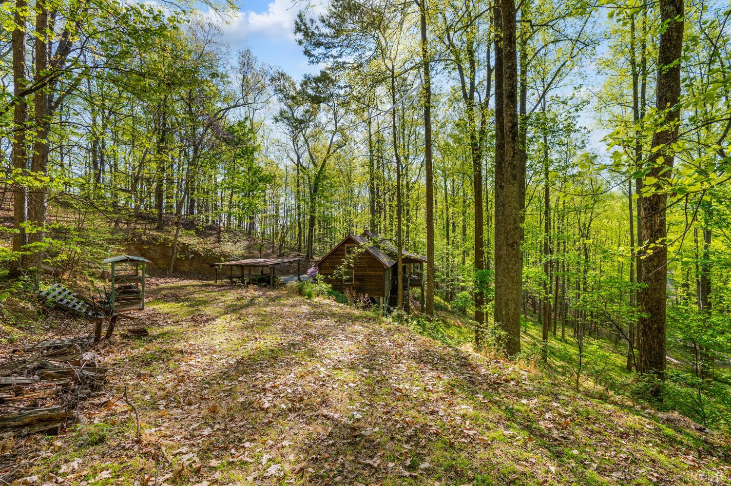 3882 Rocky Mountain Road Forest, VA 24551 - Photo 45 of 69 a view of outdoor space and a yard