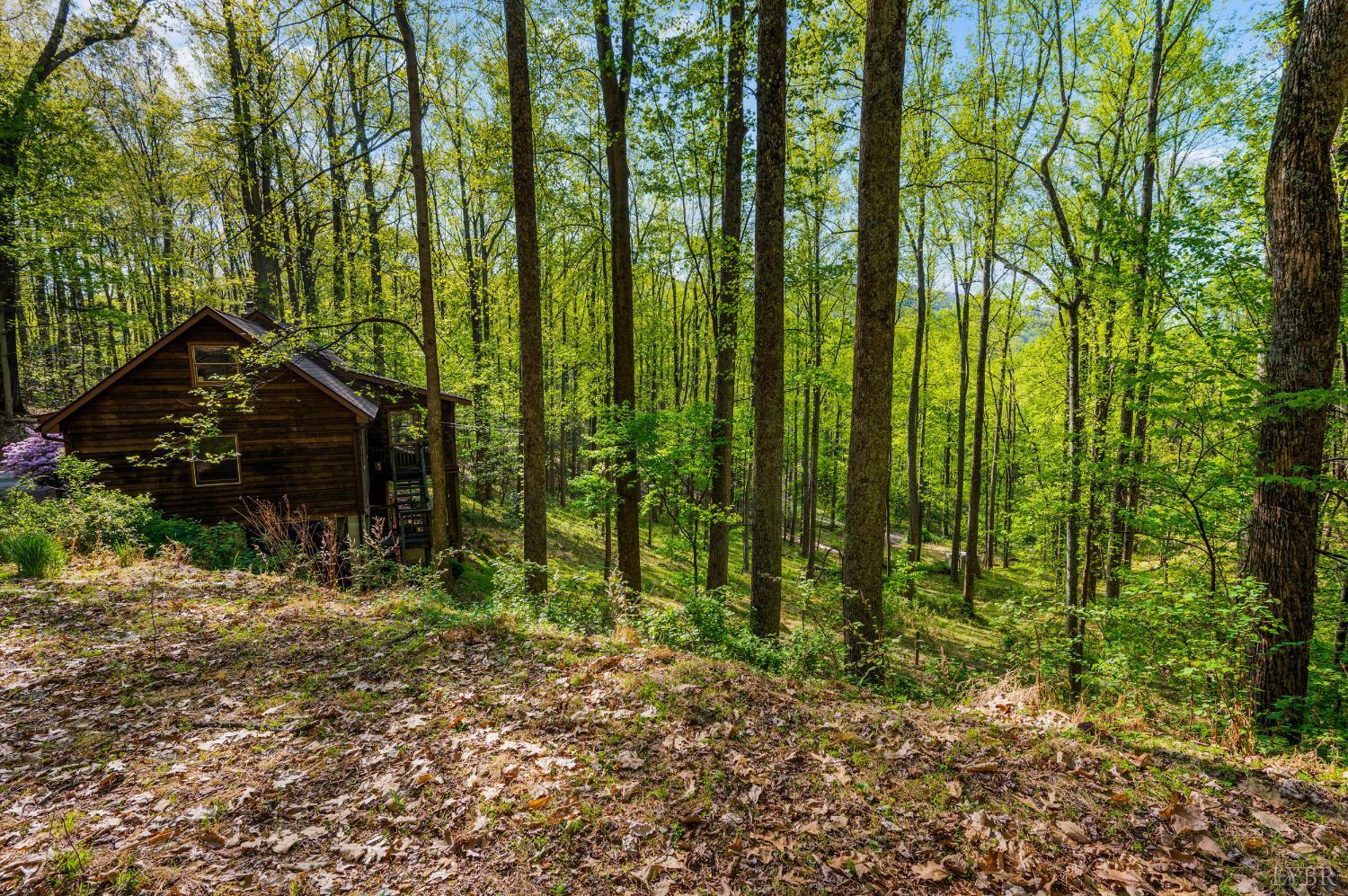 3882 Rocky Mountain Road Forest, VA 24551 - Photo 46 of 69 a backyard of a house with lots of green space