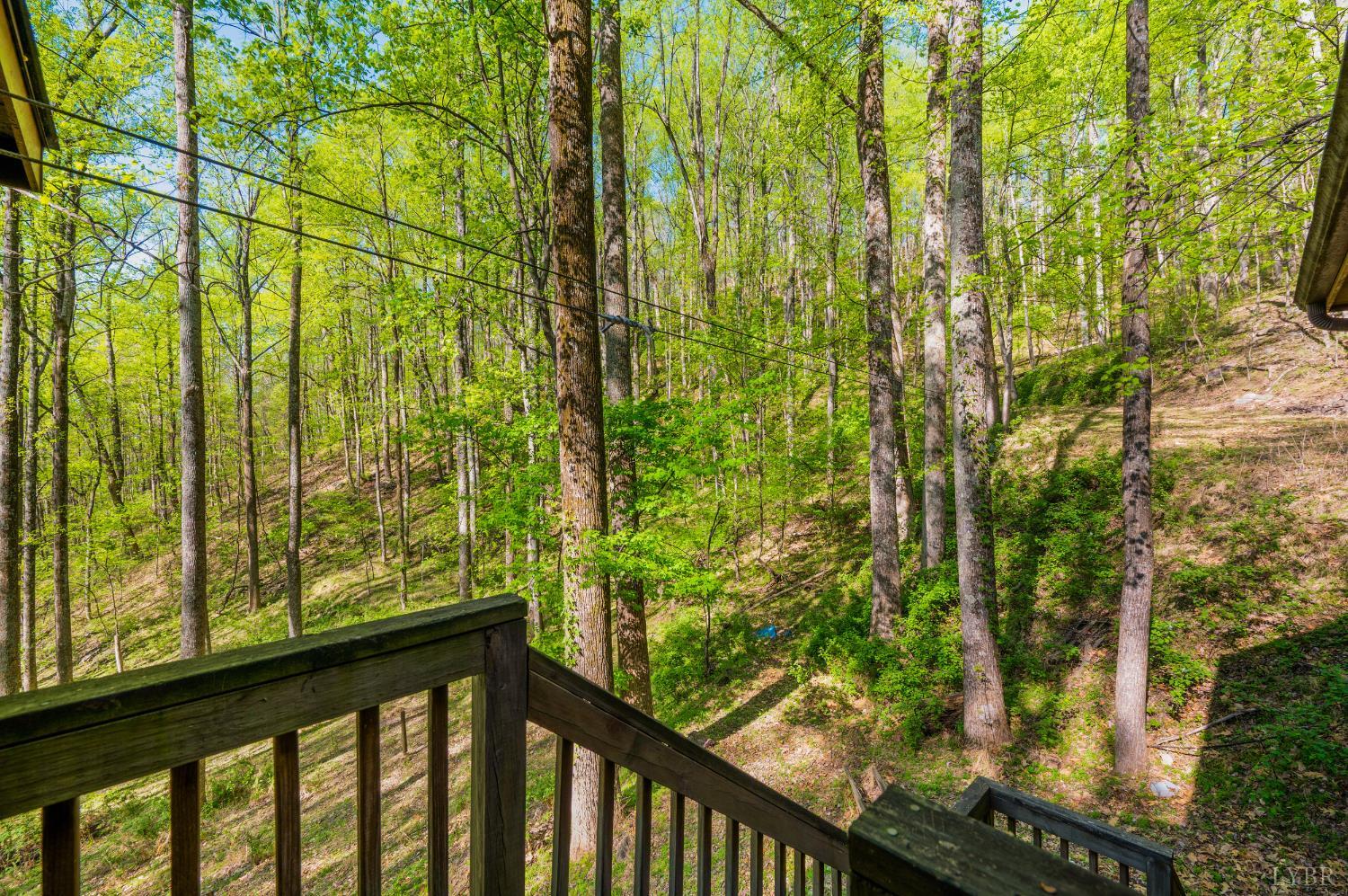 3882 Rocky Mountain Road Forest, VA 24551 - Photo 48 of 69 a view of a garden