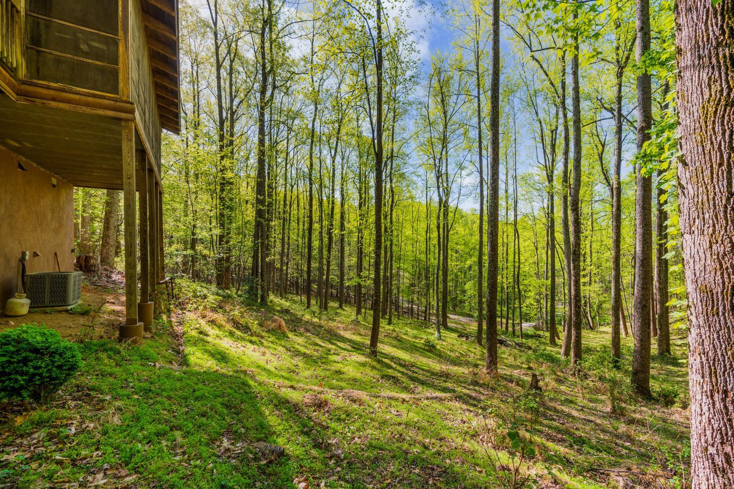 3882 Rocky Mountain Road Forest, VA 24551 - Photo 51 of 69