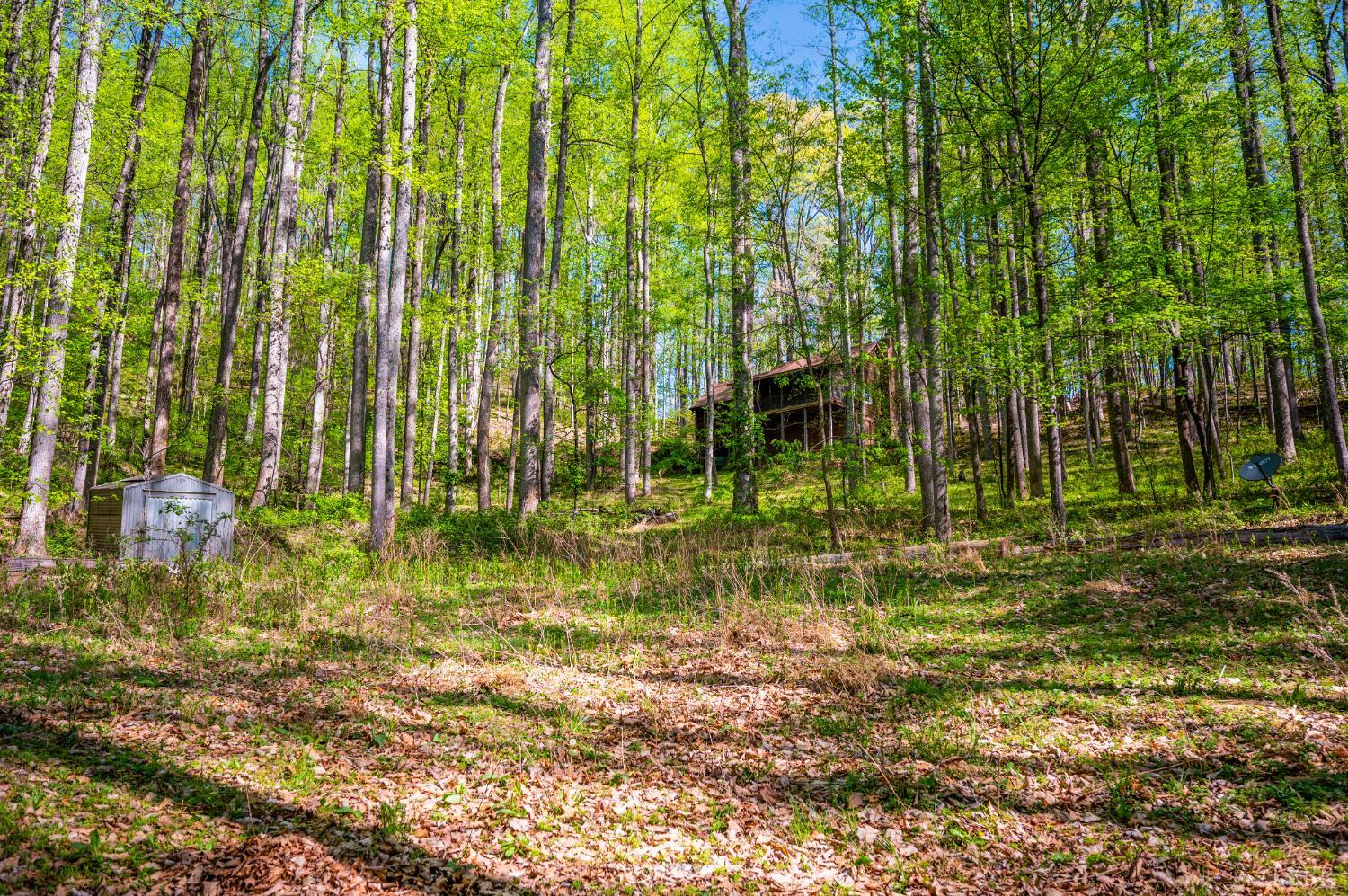 3882 Rocky Mountain Road Forest, VA 24551 - Photo 53 of 69 a view of a yard with a trees