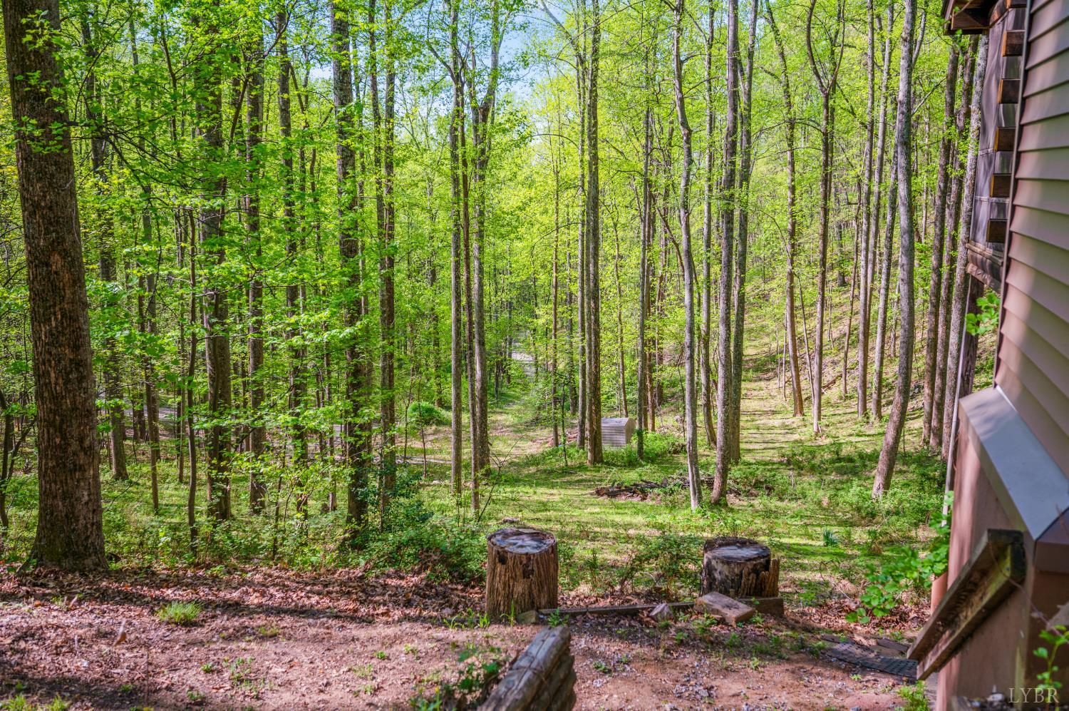 3882 Rocky Mountain Road Forest, VA 24551 - Photo 57 of 69 a view of a garden
