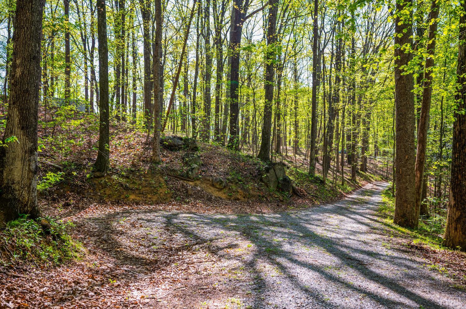 3882 Rocky Mountain Road Forest, VA 24551 - Photo 59 of 69