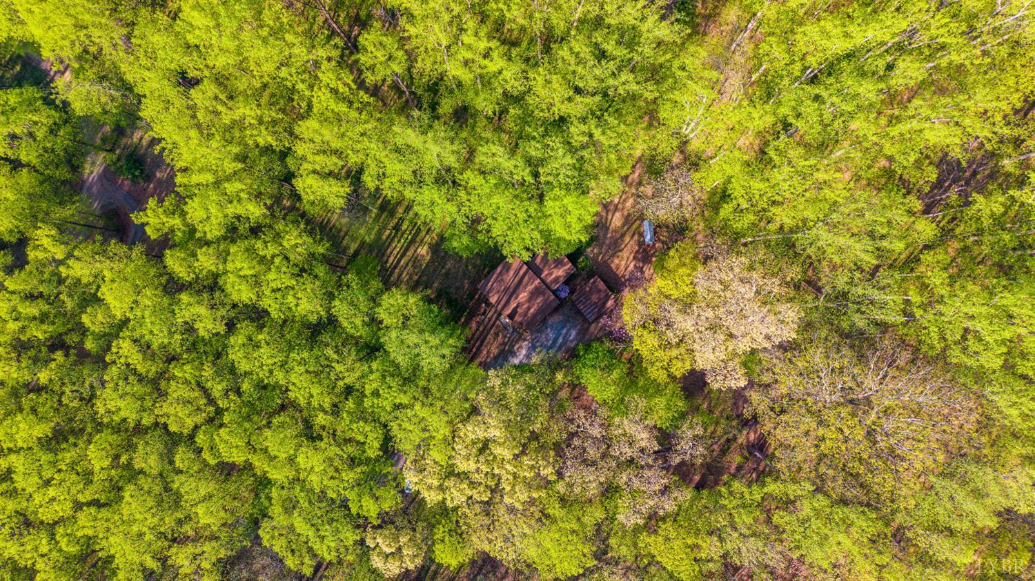 3882 Rocky Mountain Road Forest, VA 24551 - Photo 61 of 69
