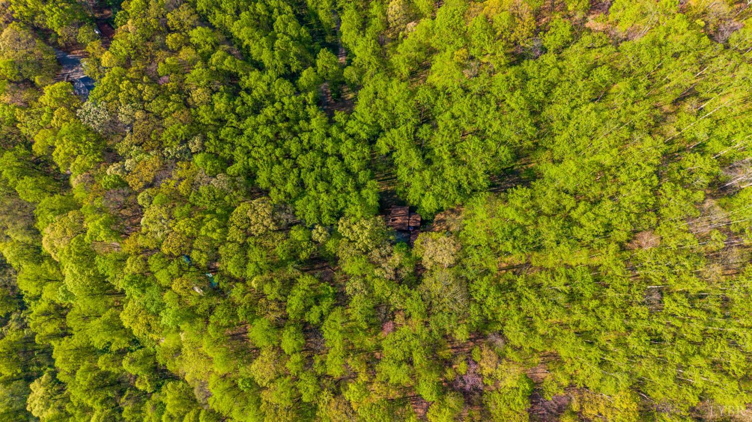 3882 Rocky Mountain Road Forest, VA 24551 - Photo 62 of 69
