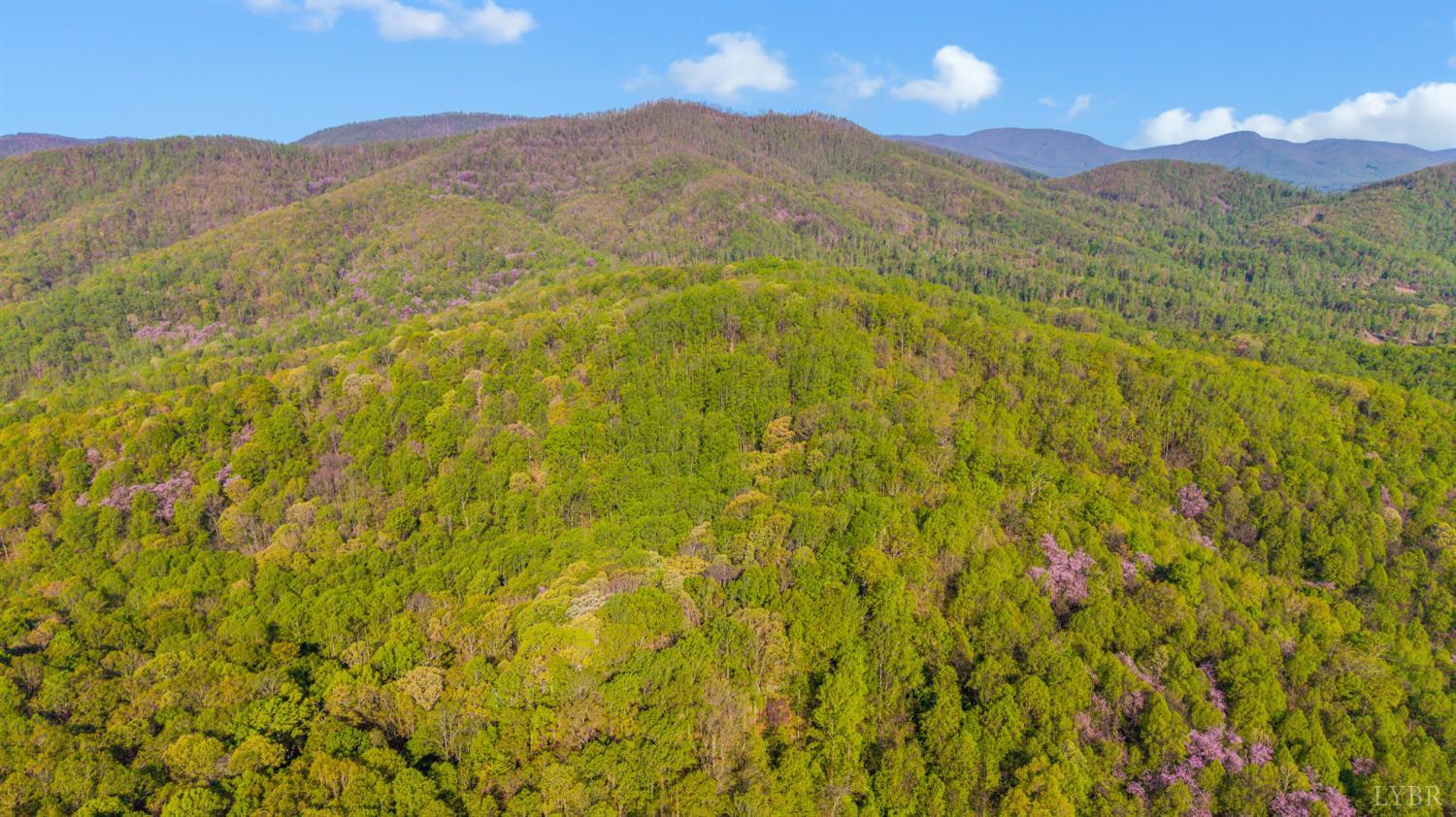 3882 Rocky Mountain Road Forest, VA 24551 - Photo 63 of 69 a view of mountain view with mountains in the background