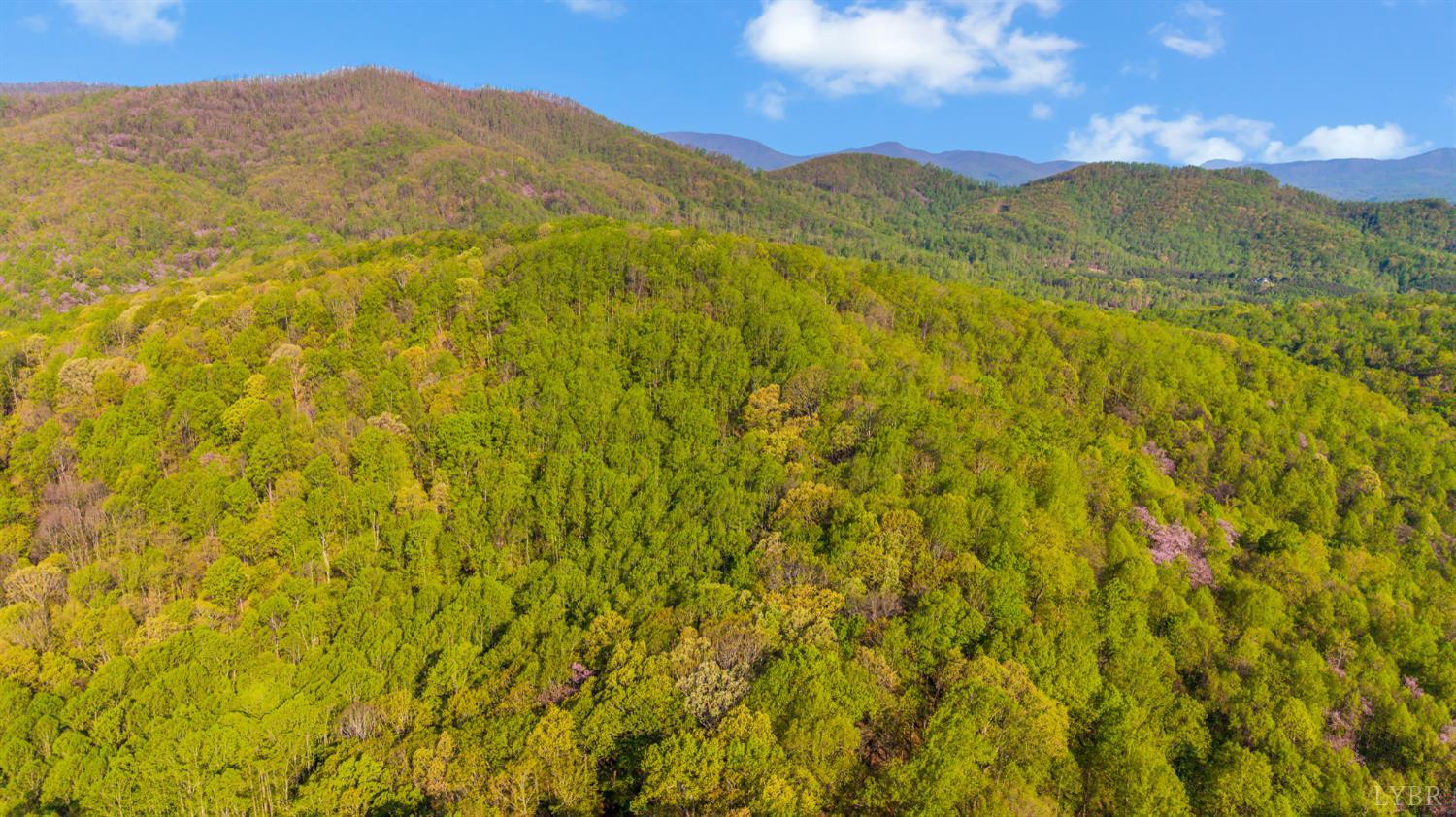 3882 Rocky Mountain Road Forest, VA 24551 - Photo 64 of 69 a view of mountain view with mountains