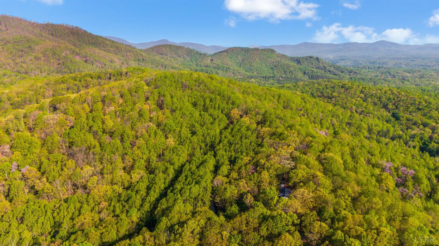 3882 Rocky Mountain Road Forest, VA 24551 - Photo 65 of 69 a view of a lush green hillside and a mountain