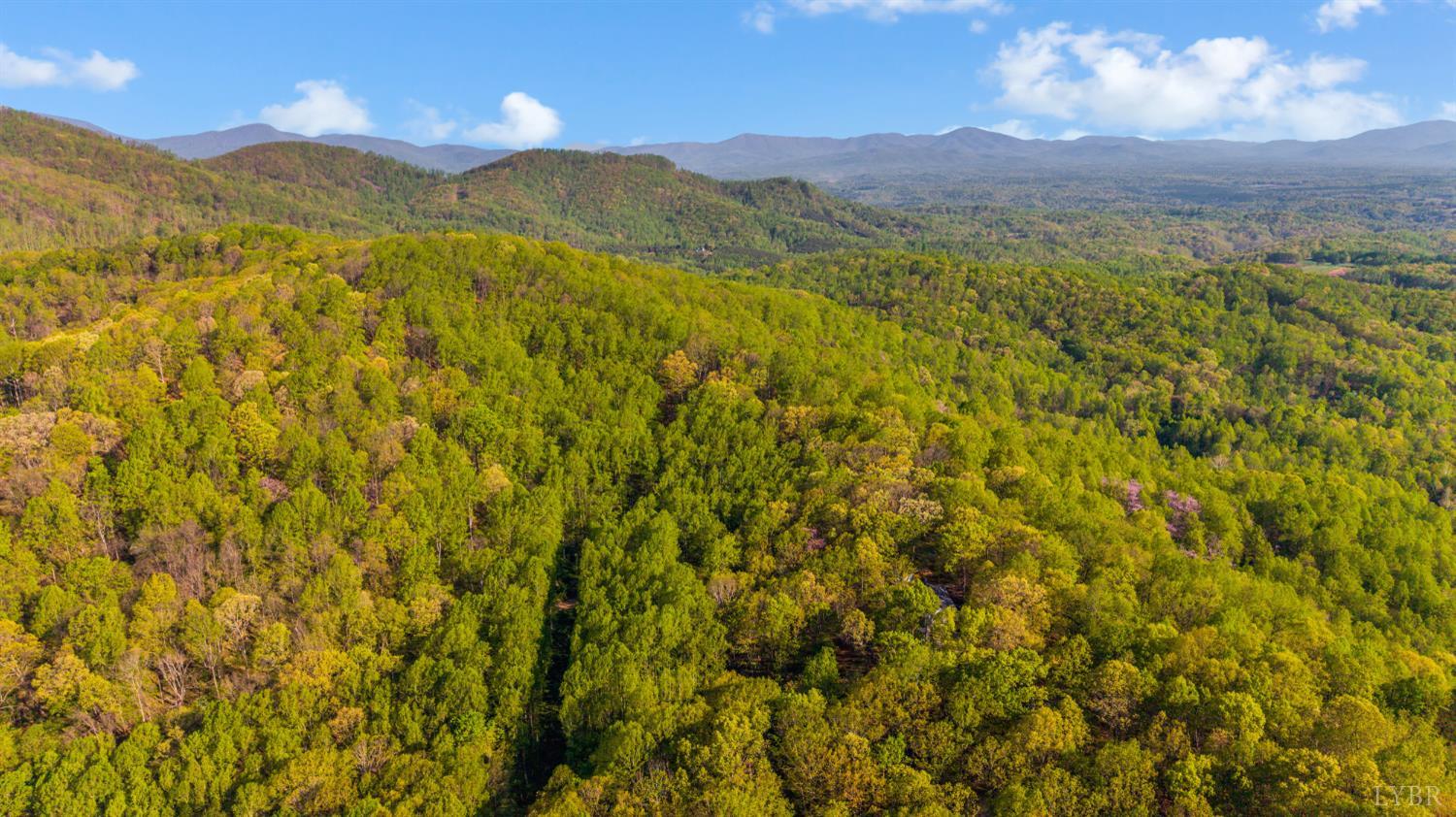 3882 Rocky Mountain Road Forest, VA 24551 - Photo 66 of 69 a view of a lush green hillside and a mountain