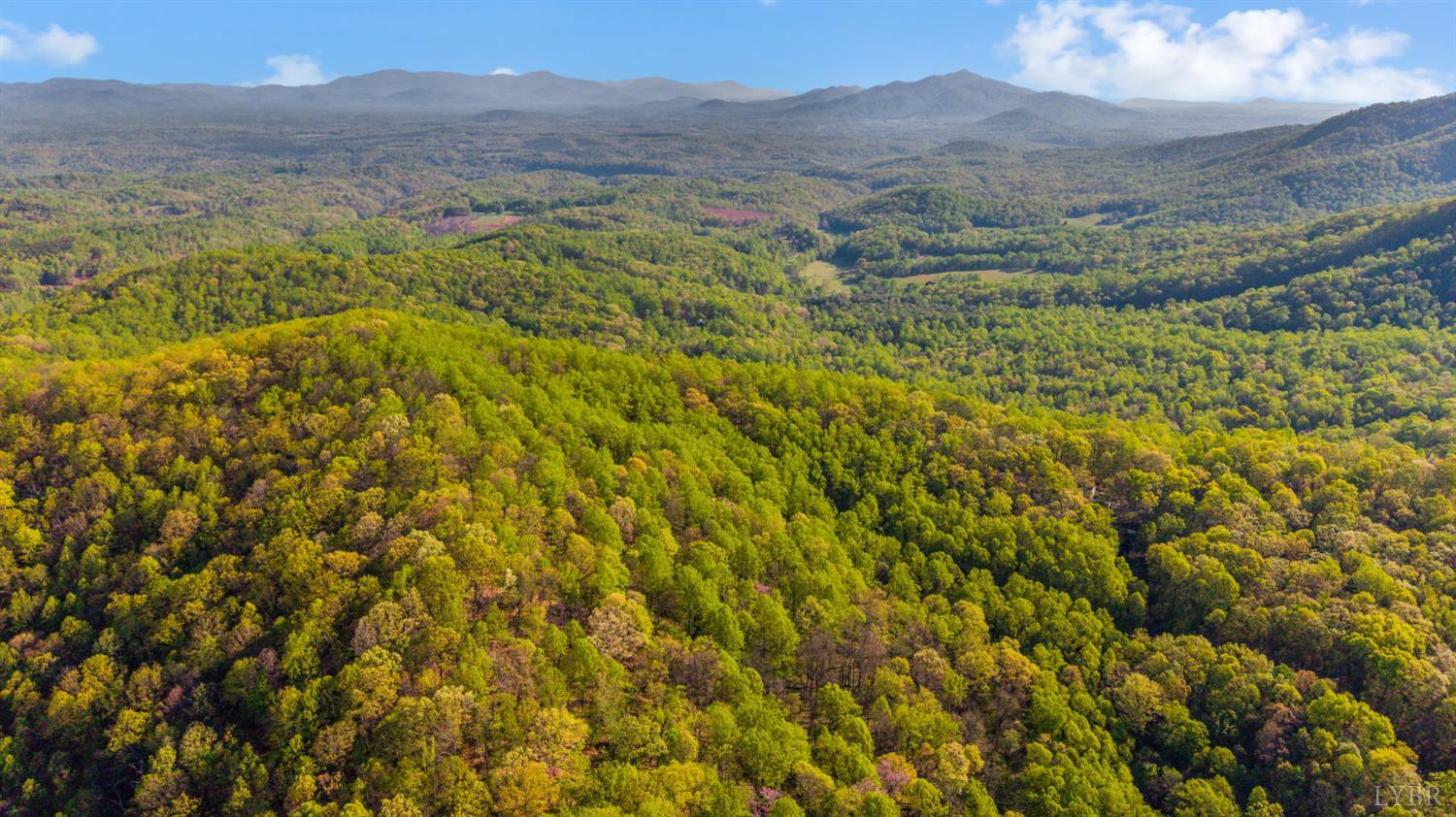 3882 Rocky Mountain Road Forest, VA 24551 - Photo 67 of 69 a view of mountain with an outdoor space