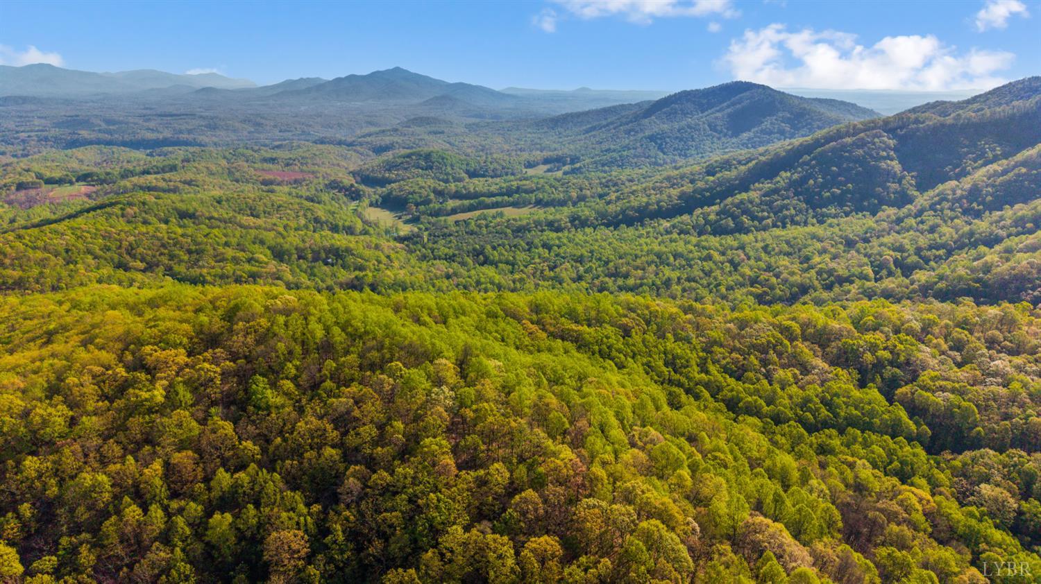 3882 Rocky Mountain Road Forest, VA 24551 - Photo 68 of 69 a view of a lush green hillside and houses