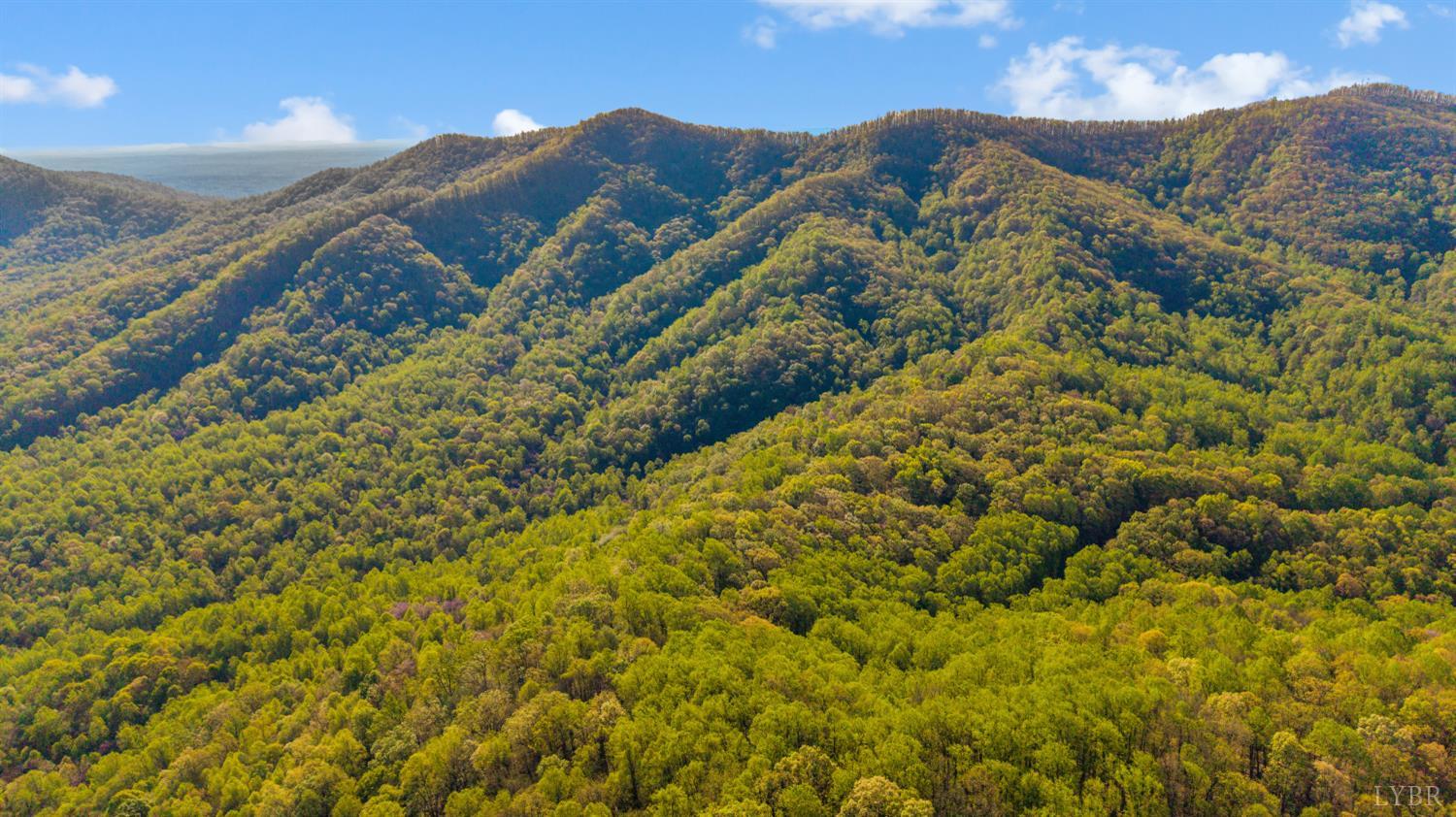 3882 Rocky Mountain Road Forest, VA 24551 - Photo 69 of 69 a view of a yard with mountains