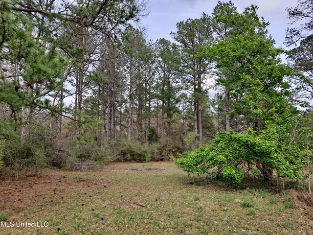 $120,000 | 91922 Us-98, Beaumont, MS 39423