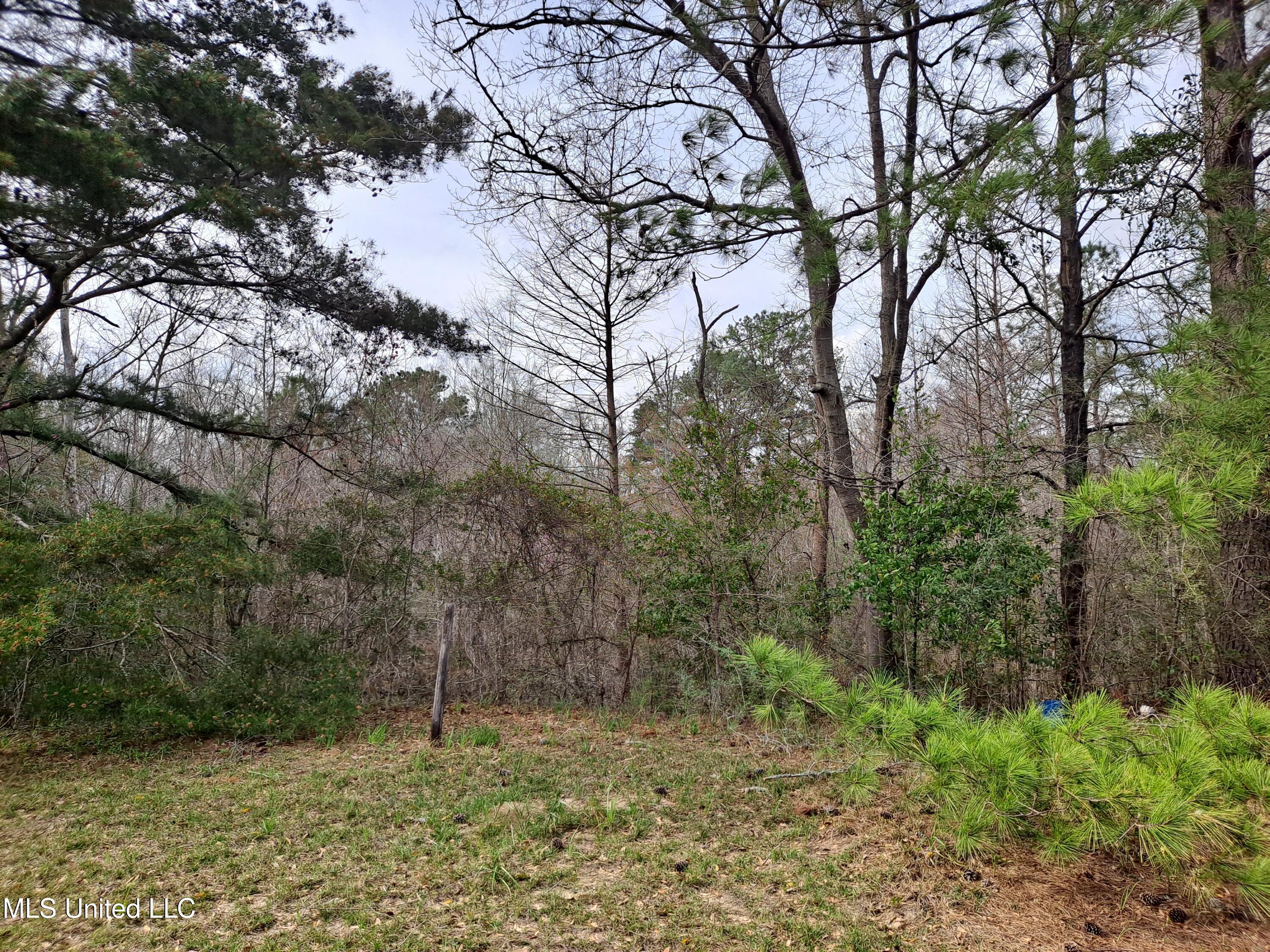 91922 Us-98 Beaumont, MS 39423 - Photo 21 of 24 20250314_155045