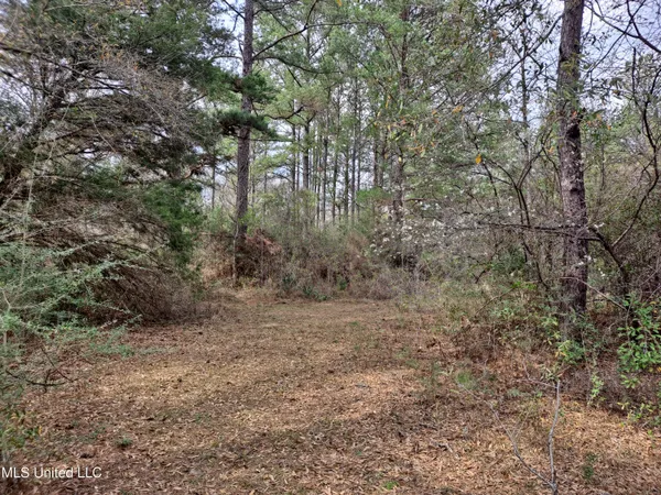 $120,000 | 91922 Us-98, Beaumont, MS 39423