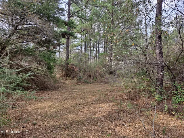 $120,000 | 91922 Us-98, Beaumont, MS 39423