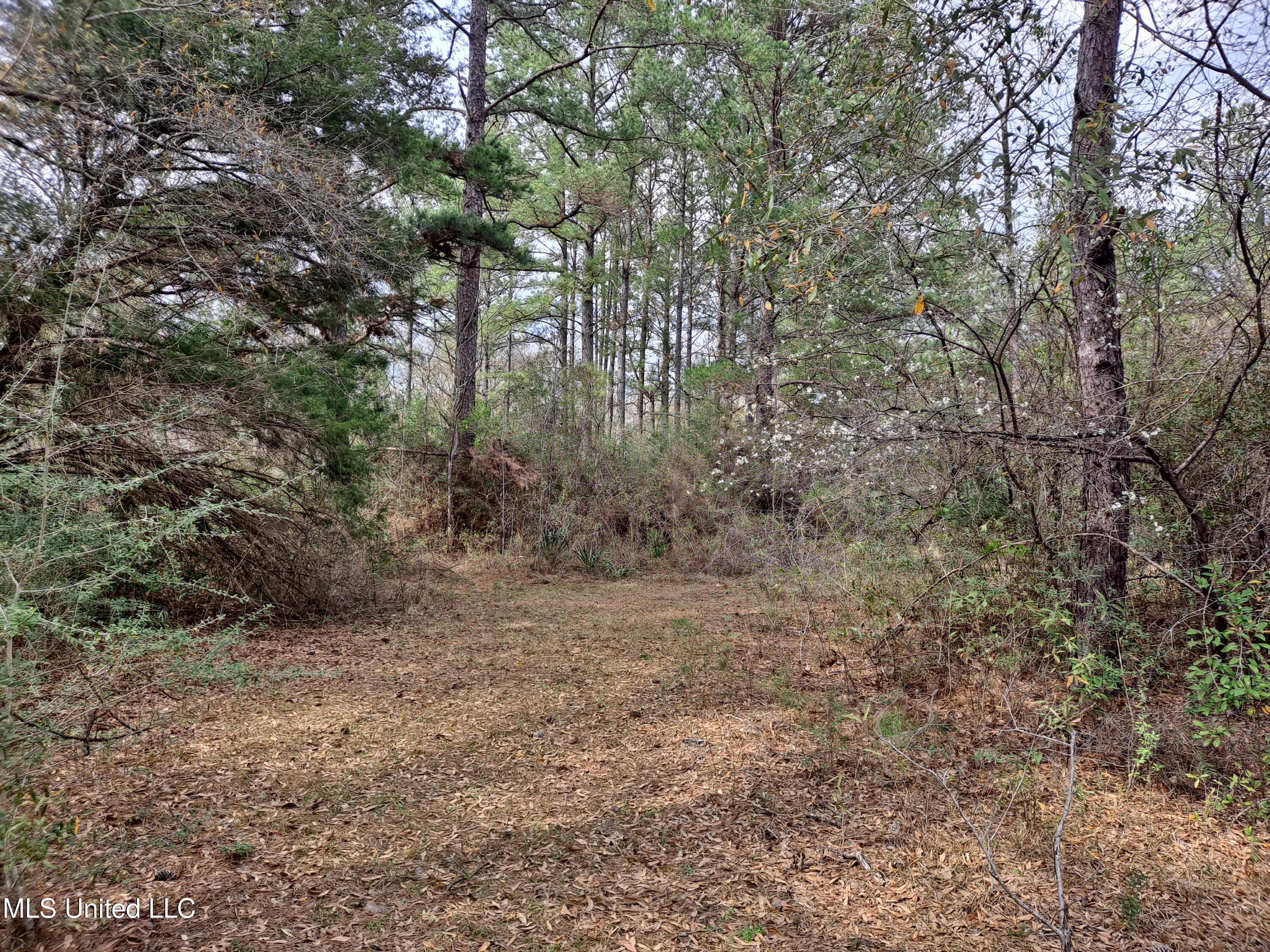 91922 Us-98 Beaumont, MS 39423 - Photo 22 of 24 20250314_154220