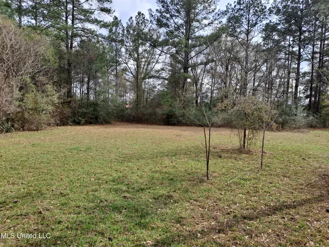 $120,000 | 91922 Us-98, Beaumont, MS 39423