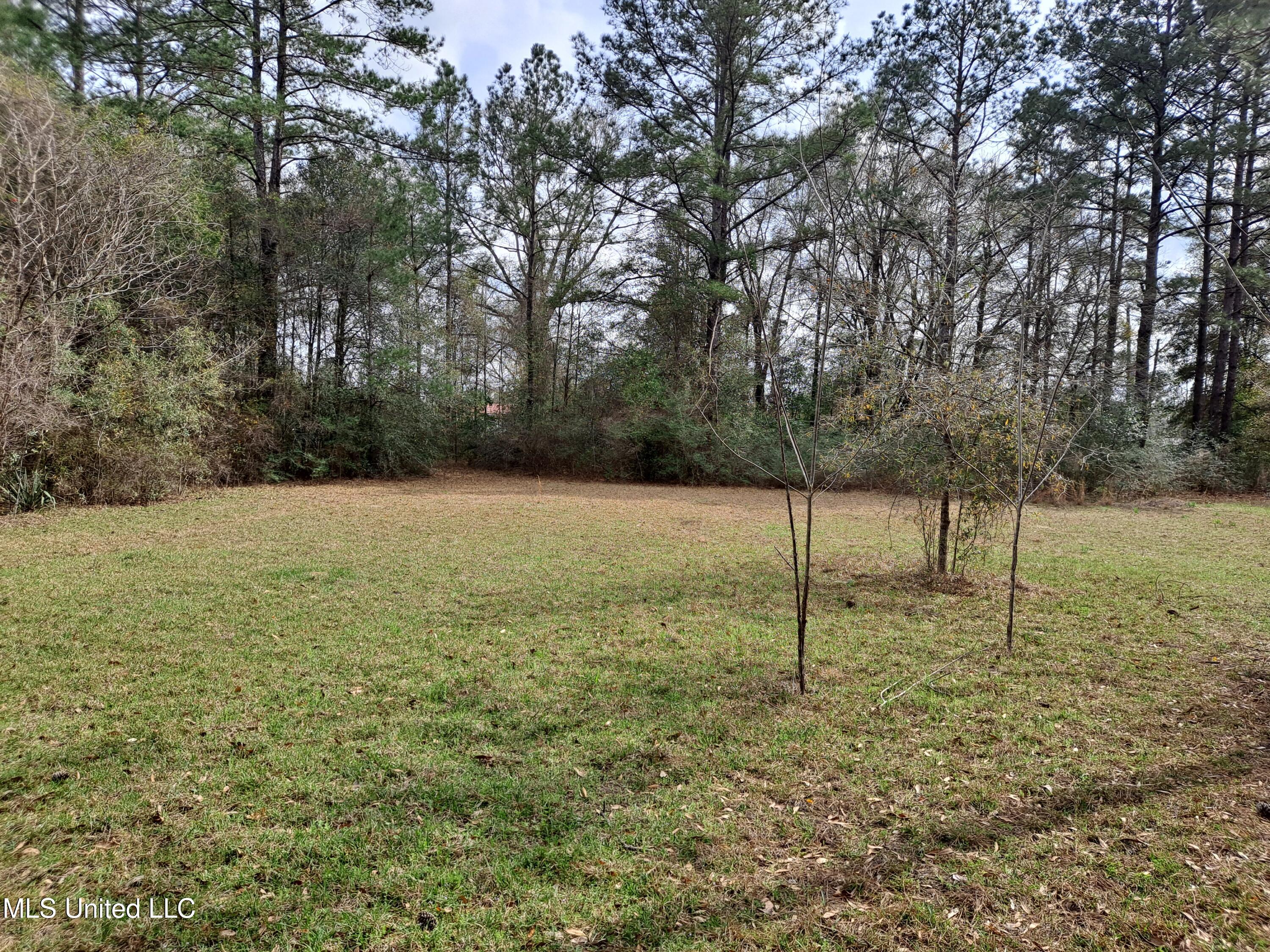 91922 Us-98 Beaumont, MS 39423 - Photo 23 of 24 20250314_154230