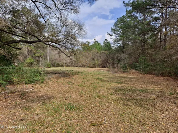 $120,000 | 91922 Us-98, Beaumont, MS 39423