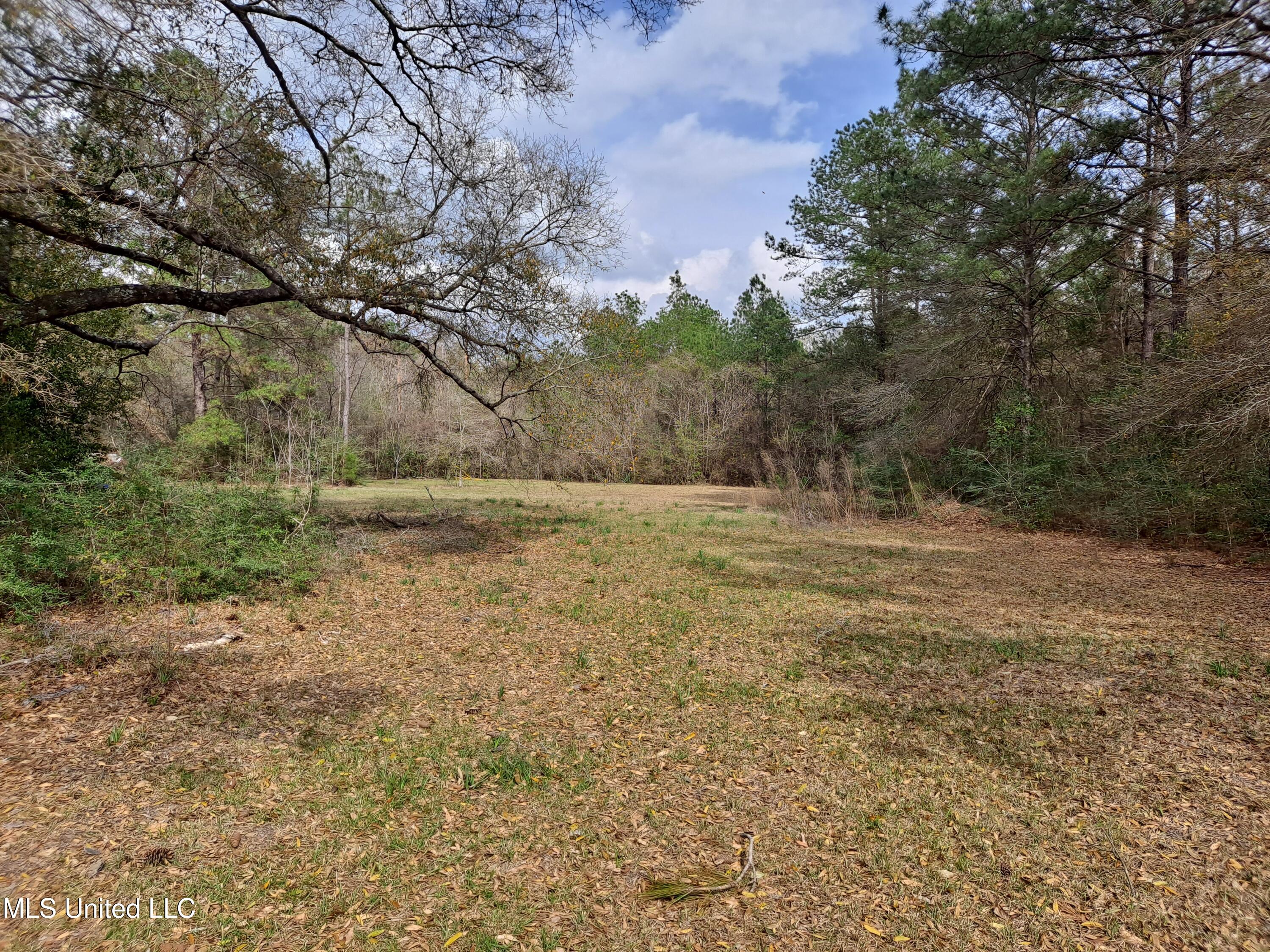 91922 Us-98 Beaumont, MS 39423 - Photo 24 of 24 20250314_154106