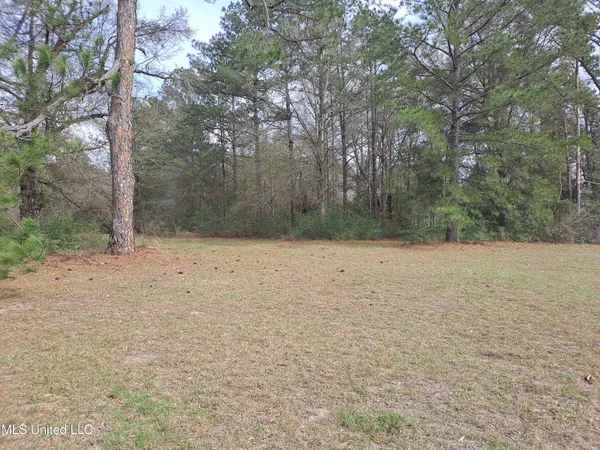 $120,000 | 91922 Us-98, Beaumont, MS 39423