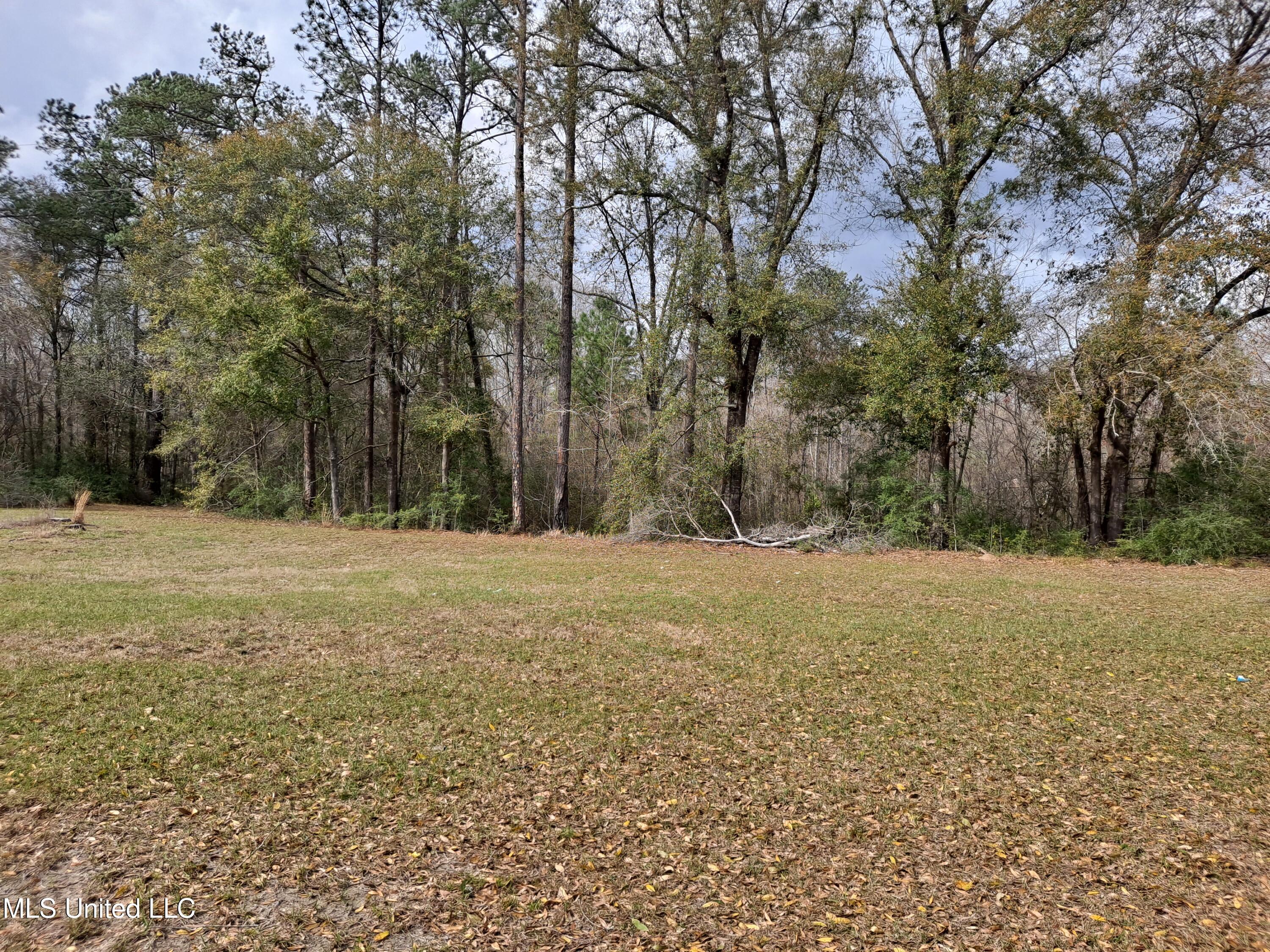 91922 Us-98 Beaumont, MS 39423 - Photo 5 of 24 20250314_153938