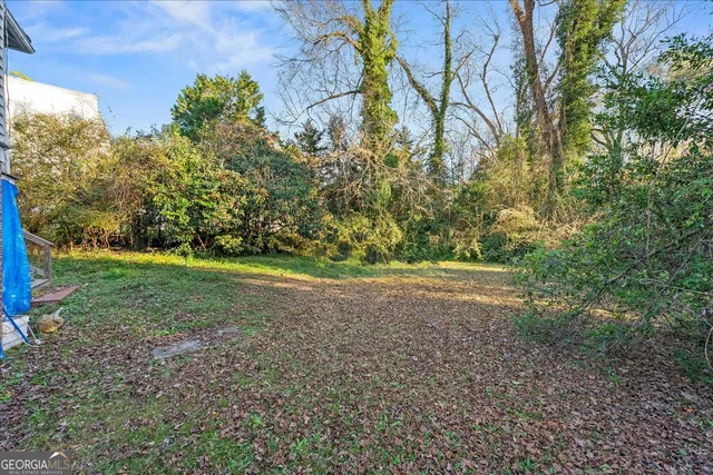 a view of a yard with a trees
