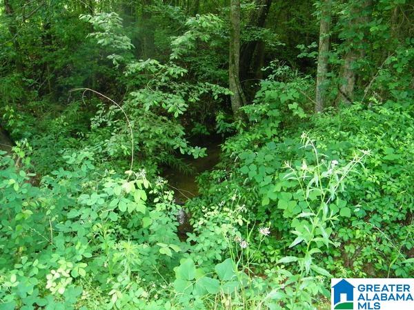 519 County Road, Unit 98 Woodland, AL 36280 - Photo 3 of 7