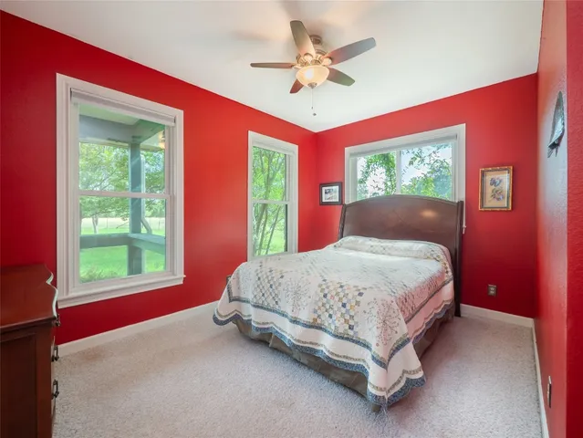 a bathroom with a sink a mirror and a potted plant