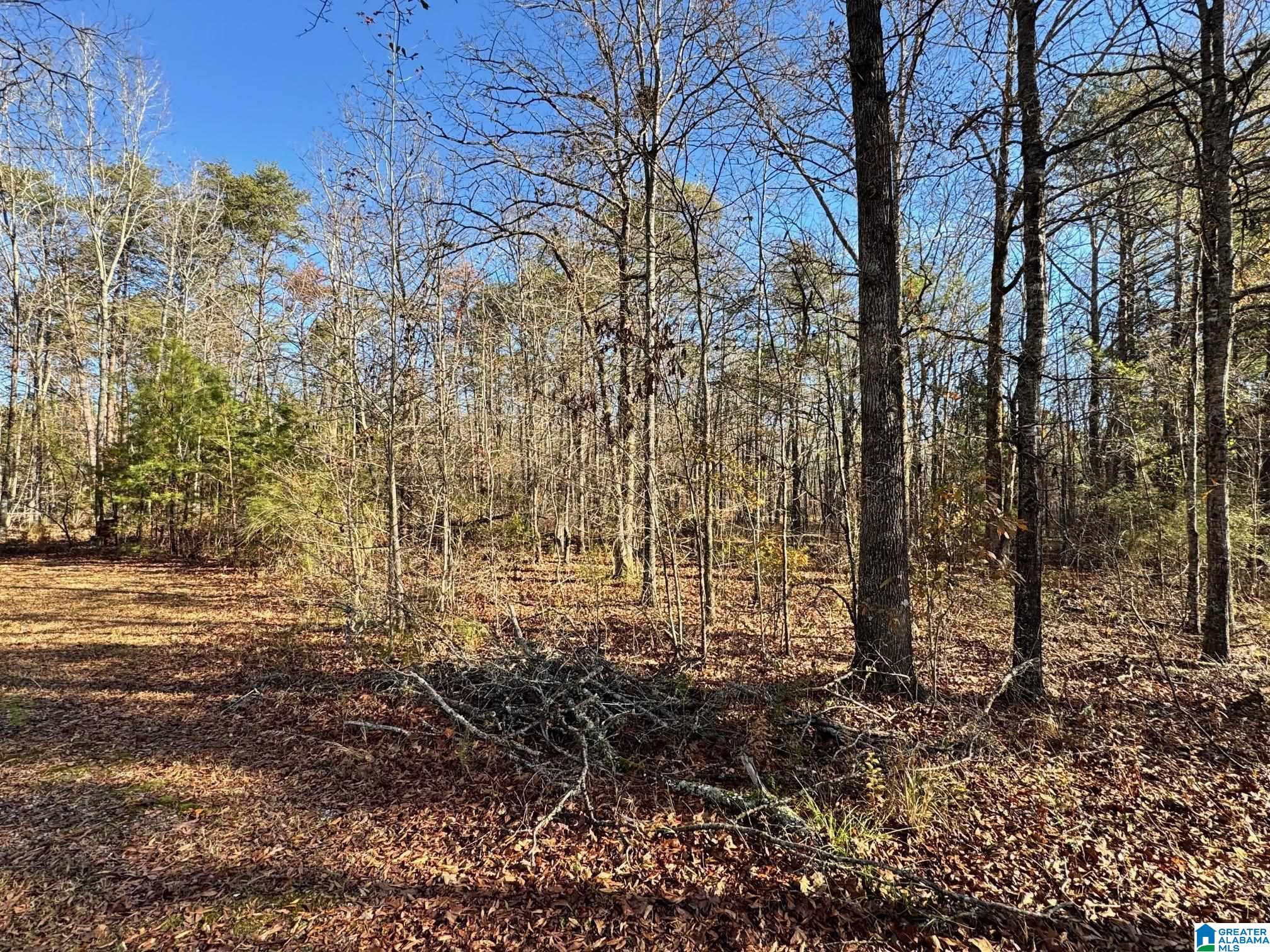 958 Chelsea Road Columbiana, AL 35051 - Photo 10 of 16