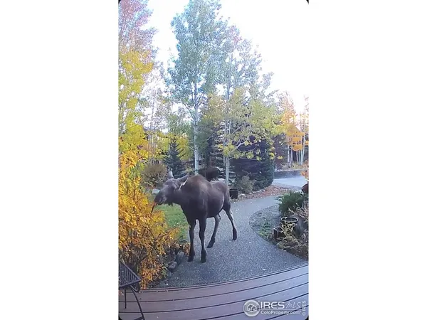 $3,275,000 | 520 Night Chant Lane, Frisco, CO 80443