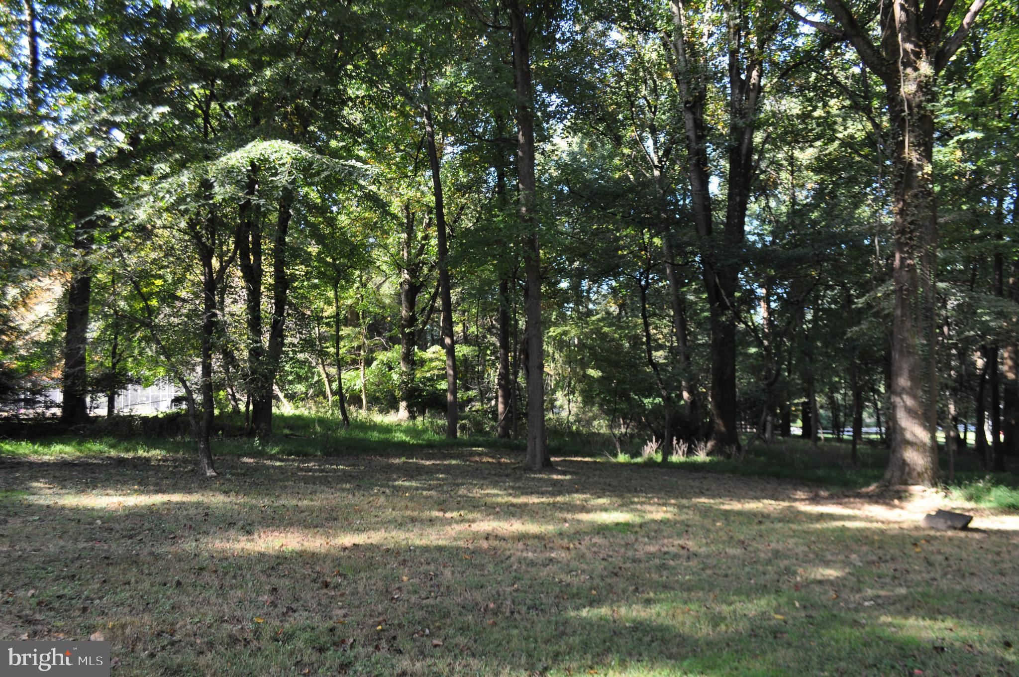 10300 Gary Road Potomac, MD 20854 - Photo 8 of 49