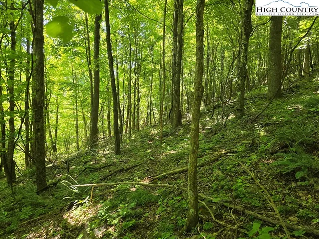 a backyard of a house with lots of green space and garden