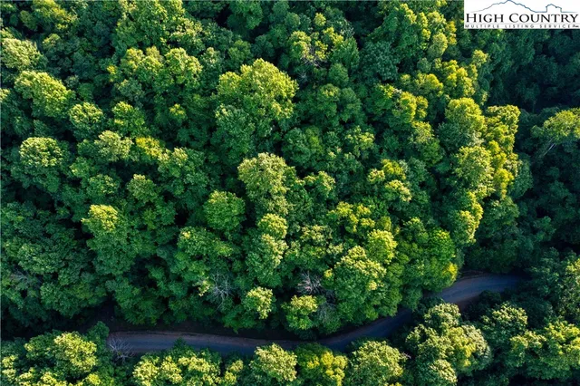 $48,000 | Lot 66 White Tail Trail, West Jefferson, NC 28694