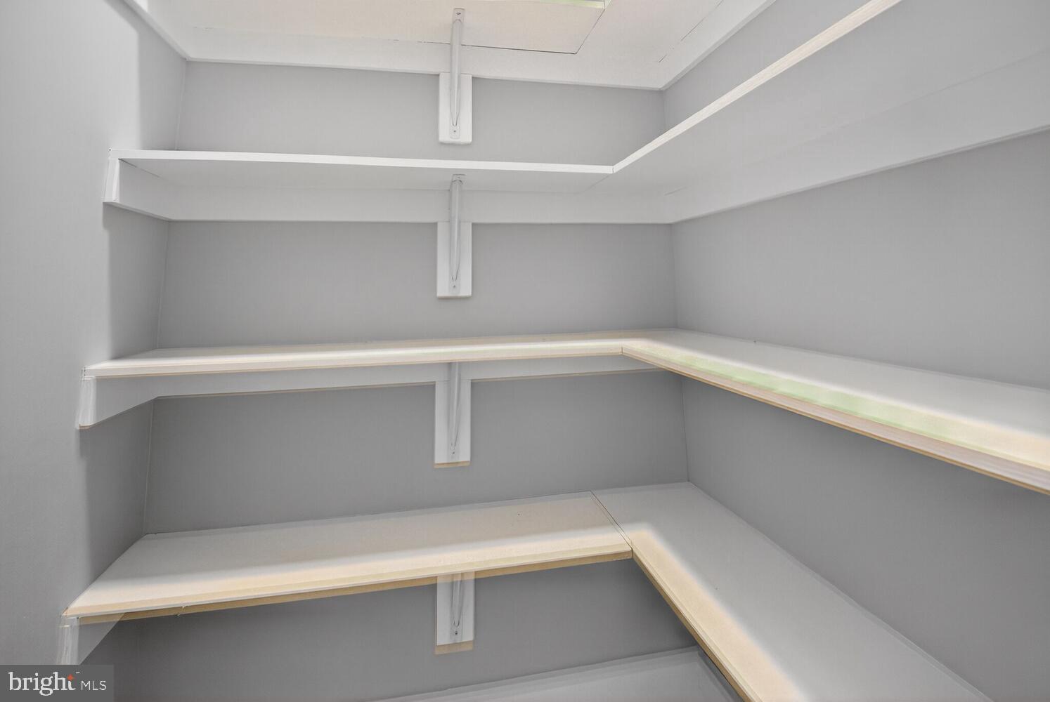 1810 15th Street Northwest, Unit 2 Washington, DC 20009 - Photo 14 of 52 Large Pantry