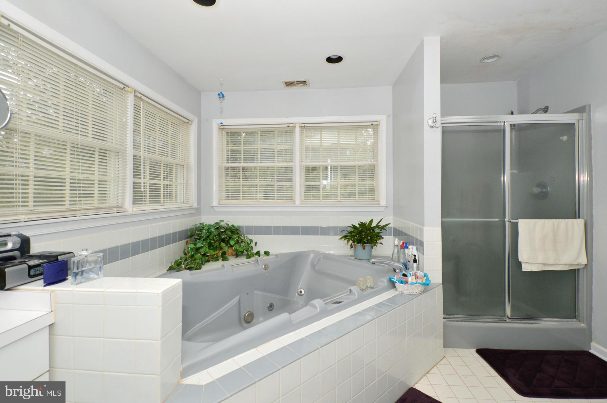 14214 Robcaste Road Phoenix, MD 21131 - Photo 23 of 30 Bath (Master)