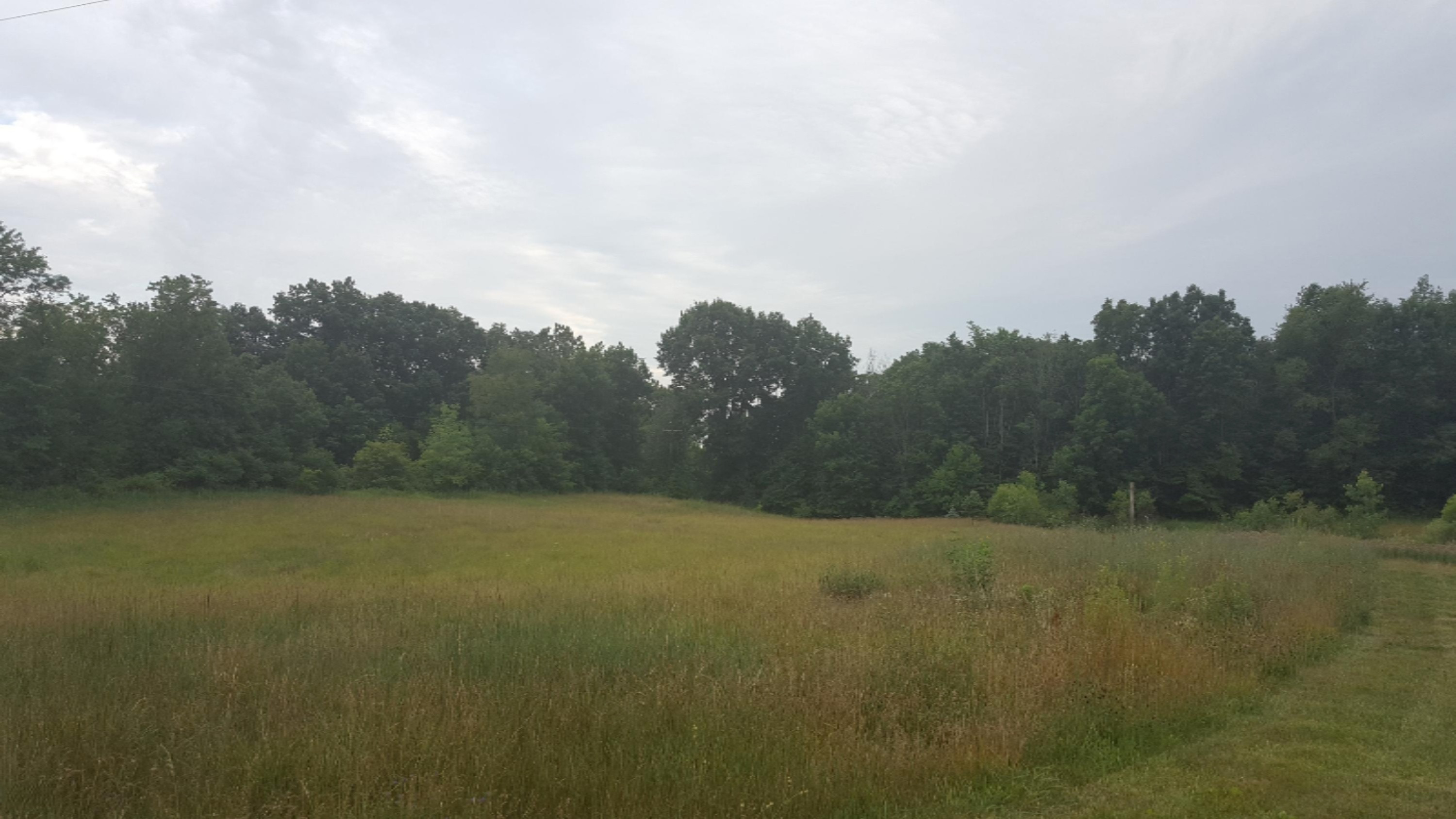 8797 Wigent Road Reading, MI 49274 - Photo 4 of 22 20160707_191903