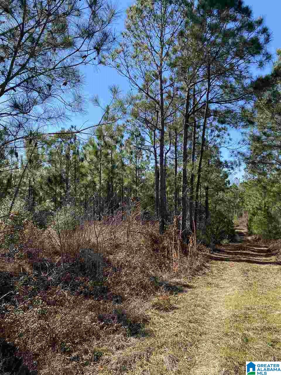 0 Mcgee Road, Unit 4 Prattville, AL 36067 - Photo 8 of 15