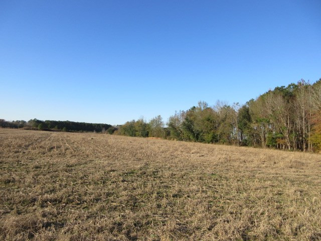 1355 Brewington West Road Sumter, SC 29153 - Photo 2 of 6