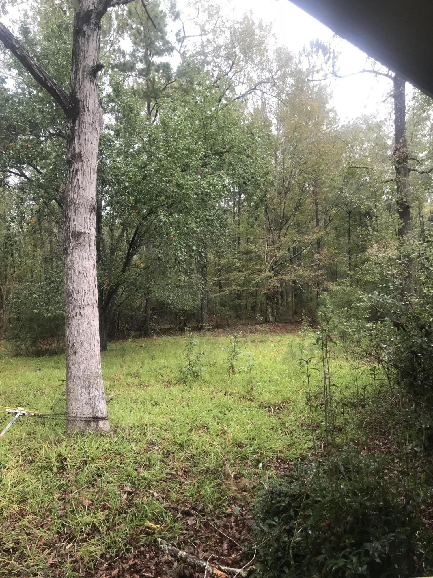 2098 Hiers Corner Road Walterboro, SC 29488 - Photo 25 of 34 Front Yard