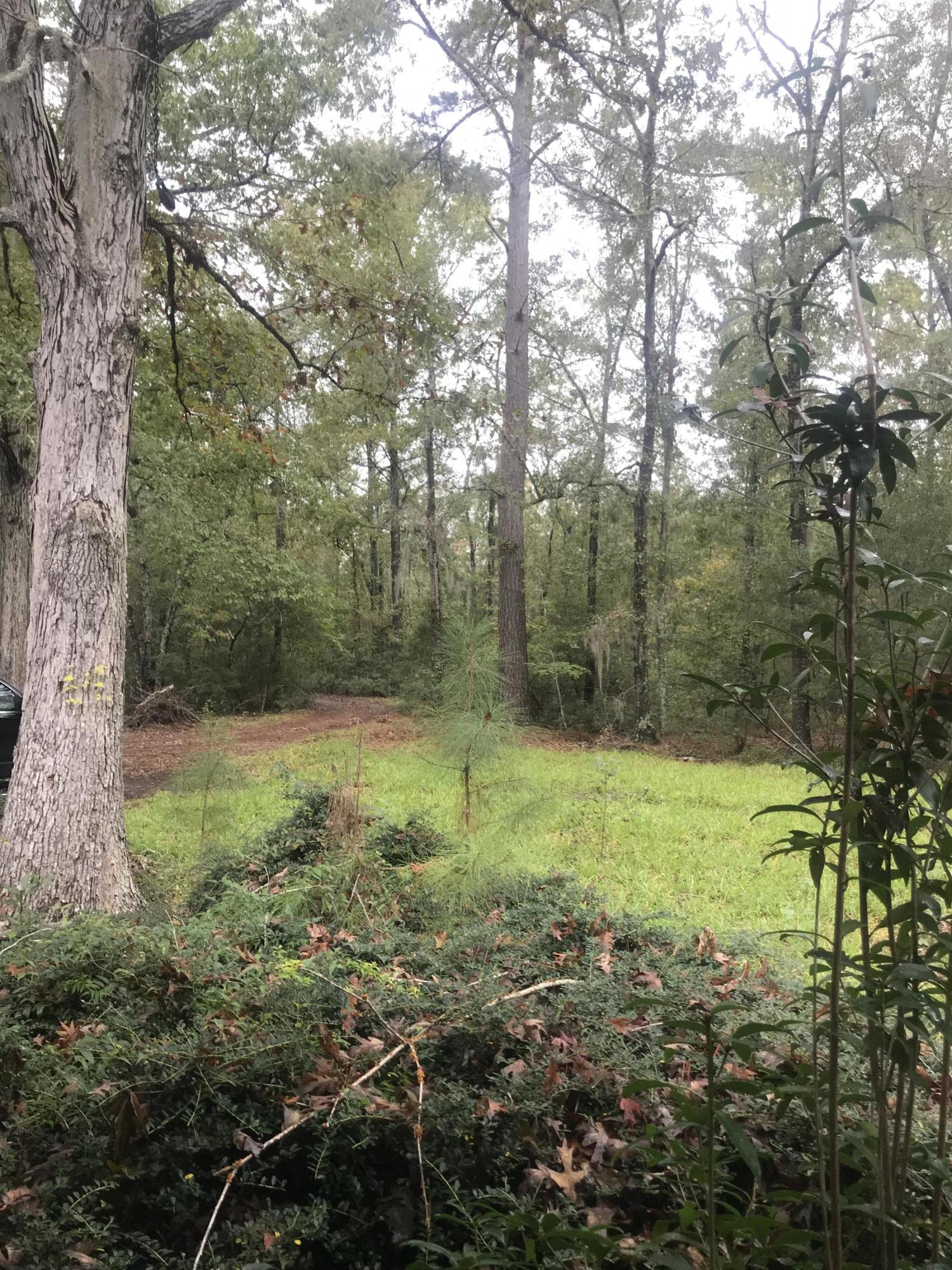 2098 Hiers Corner Road Walterboro, SC 29488 - Photo 26 of 34 Front Yard