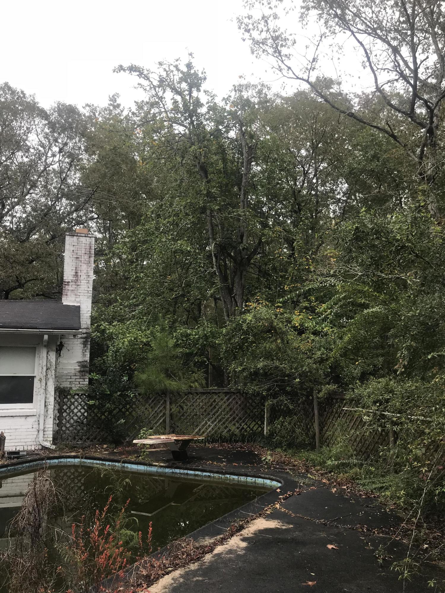 2098 Hiers Corner Road Walterboro, SC 29488 - Photo 31 of 34 Backyard