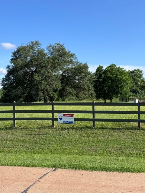 30934 Riverlake Road Fulshear, TX 77441 - Photo 3 of 21 a view of a park with a large trees