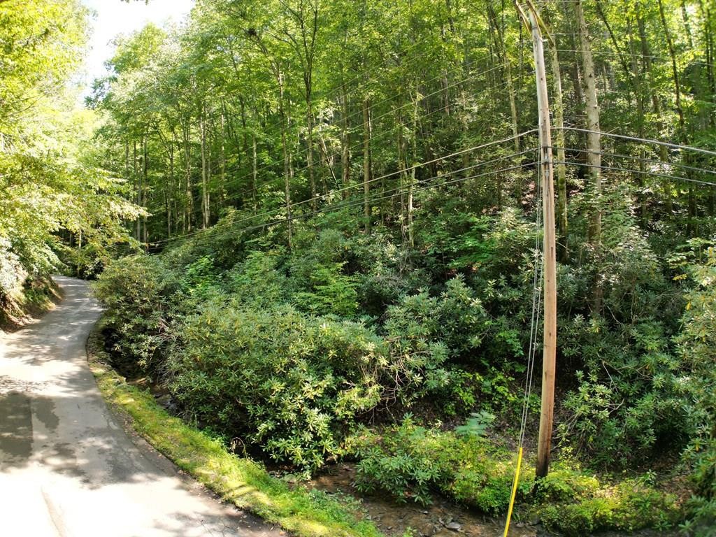 1213 Butler Branch Road Gatlinburg, TN 37738 - Photo 7 of 13