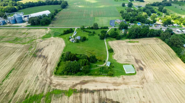 a view of a garden with plants