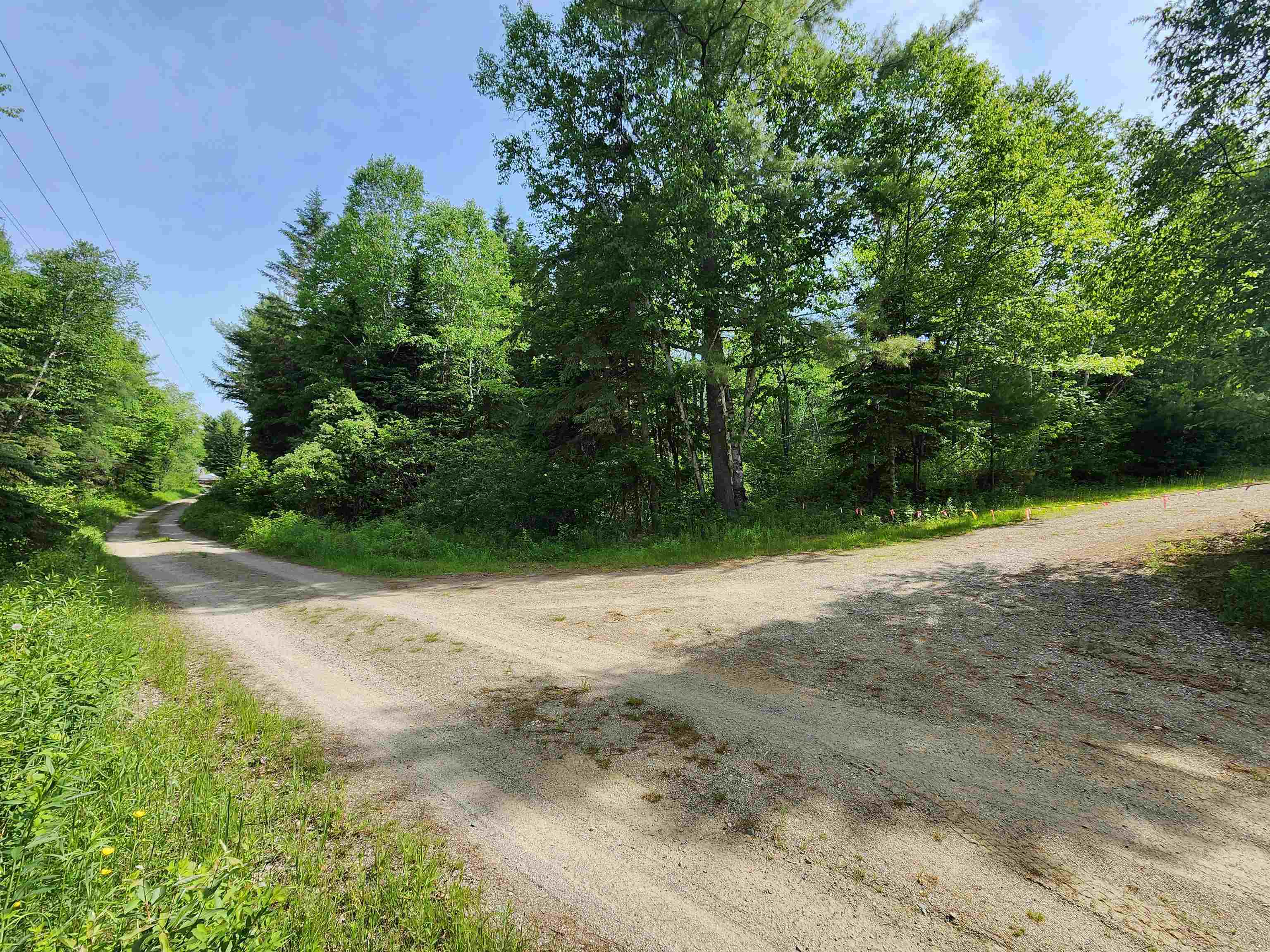 0 Boise Cascade Road Dummer, NH 03588 - Photo 1 of 17