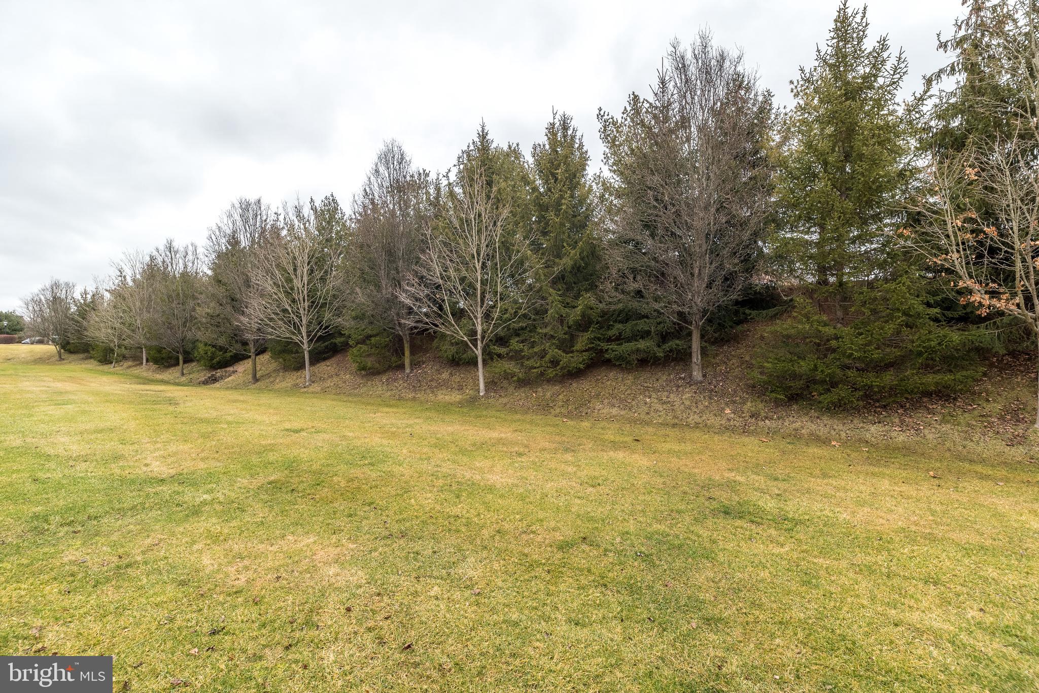 227 Coventry Road Chalfont, PA 18914 - Photo 47 of 52 Hedge of green