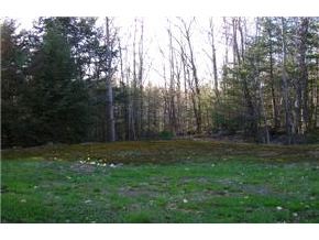 16 Old Carr Road Antrim, NH 03440 - Photo 5 of 5