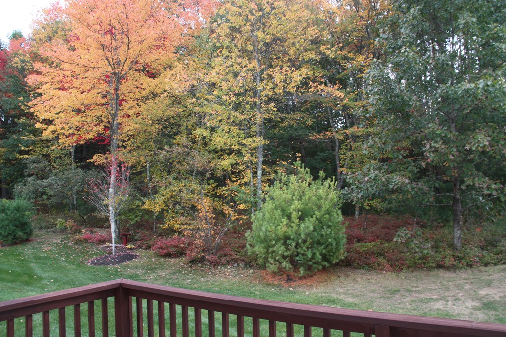 19 Ellsworth Village Road, Unit 10 Acton, MA 01720 - Photo 3 of 26 Gallery Image 3